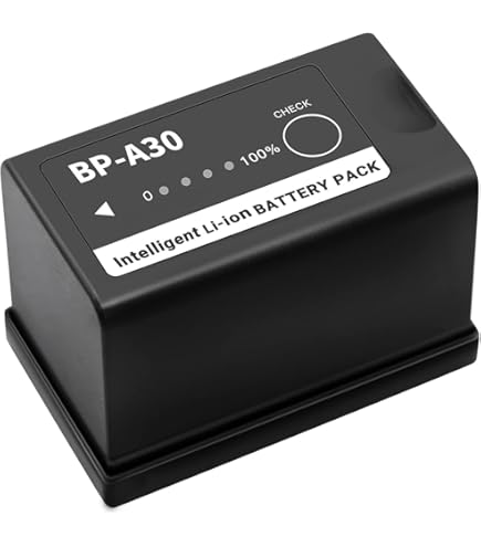 Amazon.com : The Imaging World Power2000 BP-A30 Battery